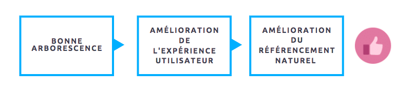 impact arborescence site web sur seo 
