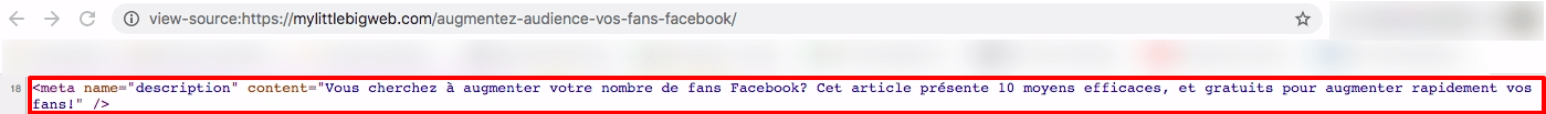meta description code source