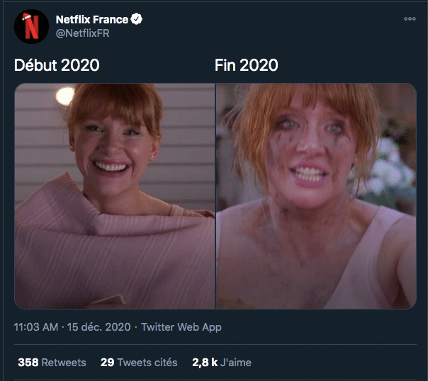 Tweet Netflix gestion de communauté 