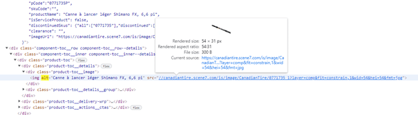 balise alt seo ecommerce