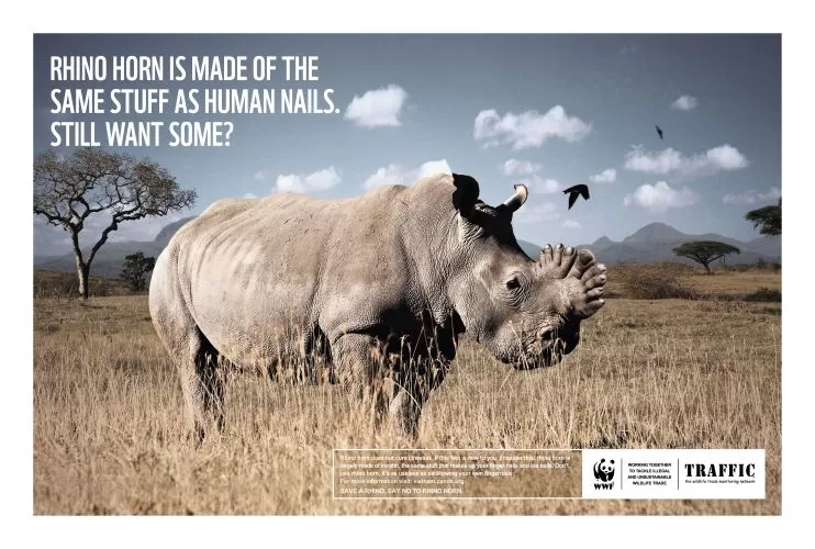 campagne-wwf-rhinoceros