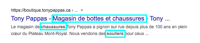varier son vocabulaire pour méta description