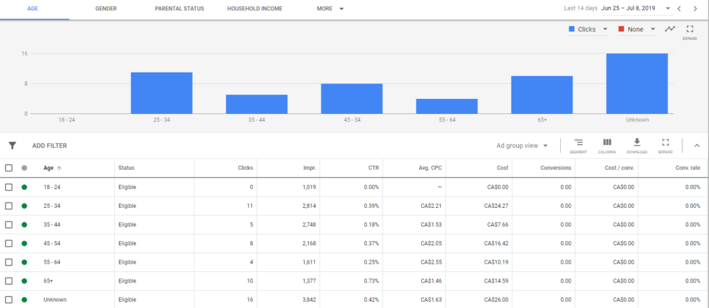 Age Segmenting Display Campaign