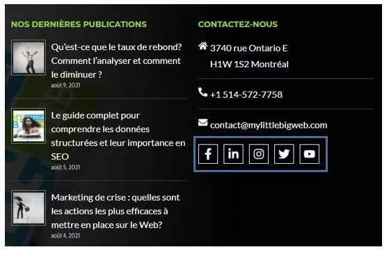 footer et boutons de partage seo
