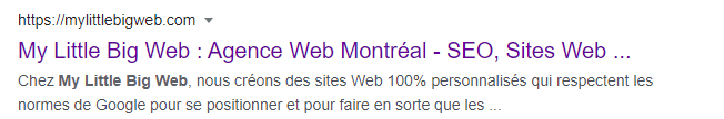 metadonnees seo my little big web 