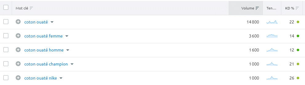 mot clé de longue traine ecommerce quebec