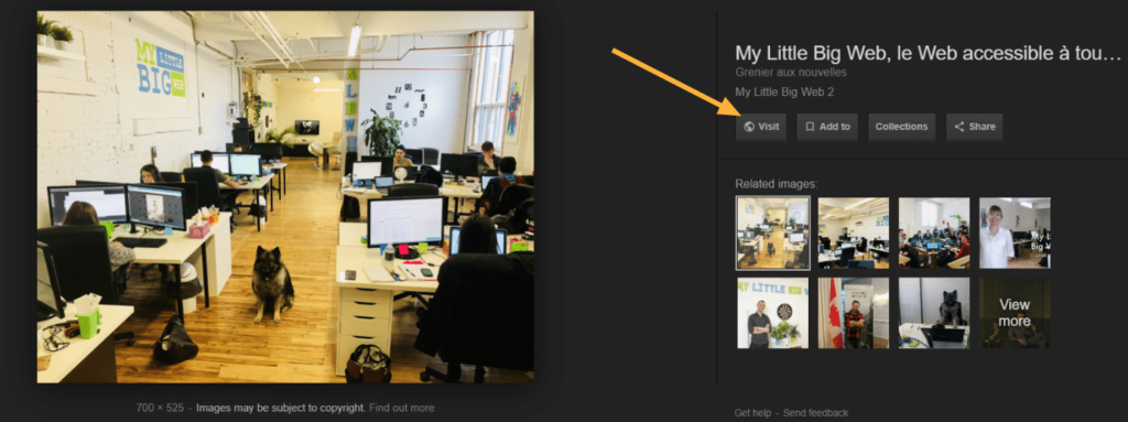 Google Images Visit Button