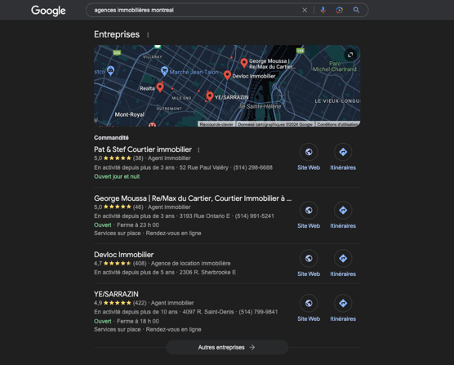 serp-local-immobilier