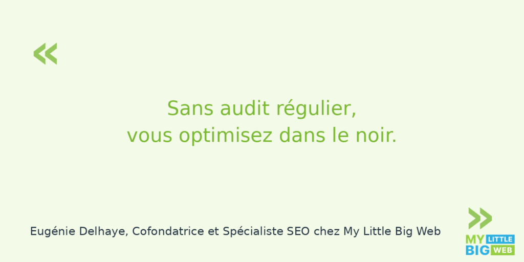sans audit vous optimisez dans le noir