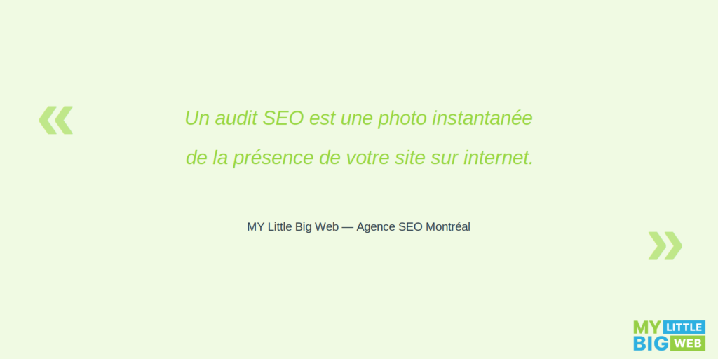 un audit SEO est une photo instantanée