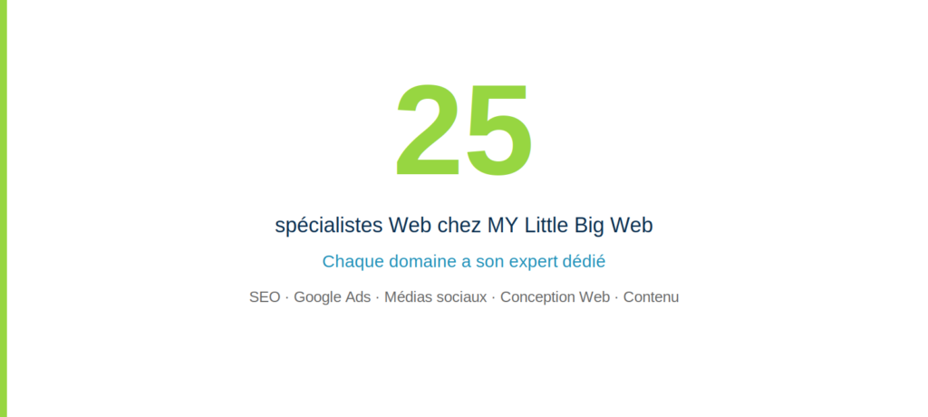 nombre de spécialistes chez My Little Big Web