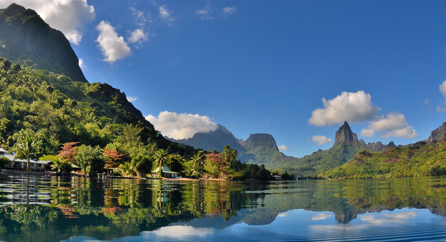 +1020 nouvelles mentions J'aime